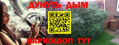 индика Шелехов