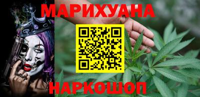 индика Шелехов