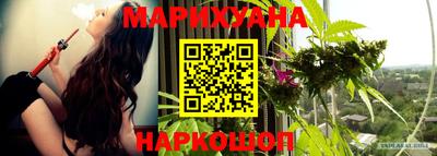гидра Шебекино