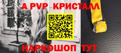 индика Шелехов