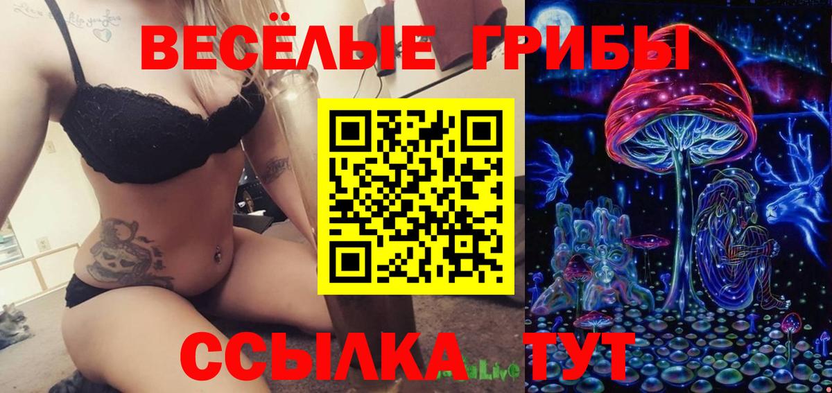 Галлюциногенные грибы MAGIC MUSHROOMS  Вход с VPN  продажа наркотиков  Благодарный 