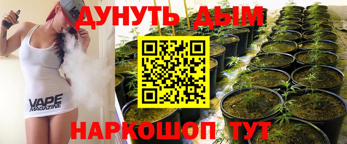 Конопля AK-47 Благодарный